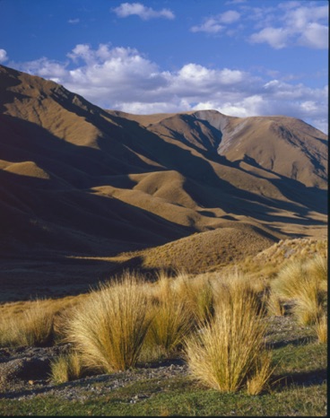 Hillside on South Island
New Zealand Hillside on South Island
New Zealand